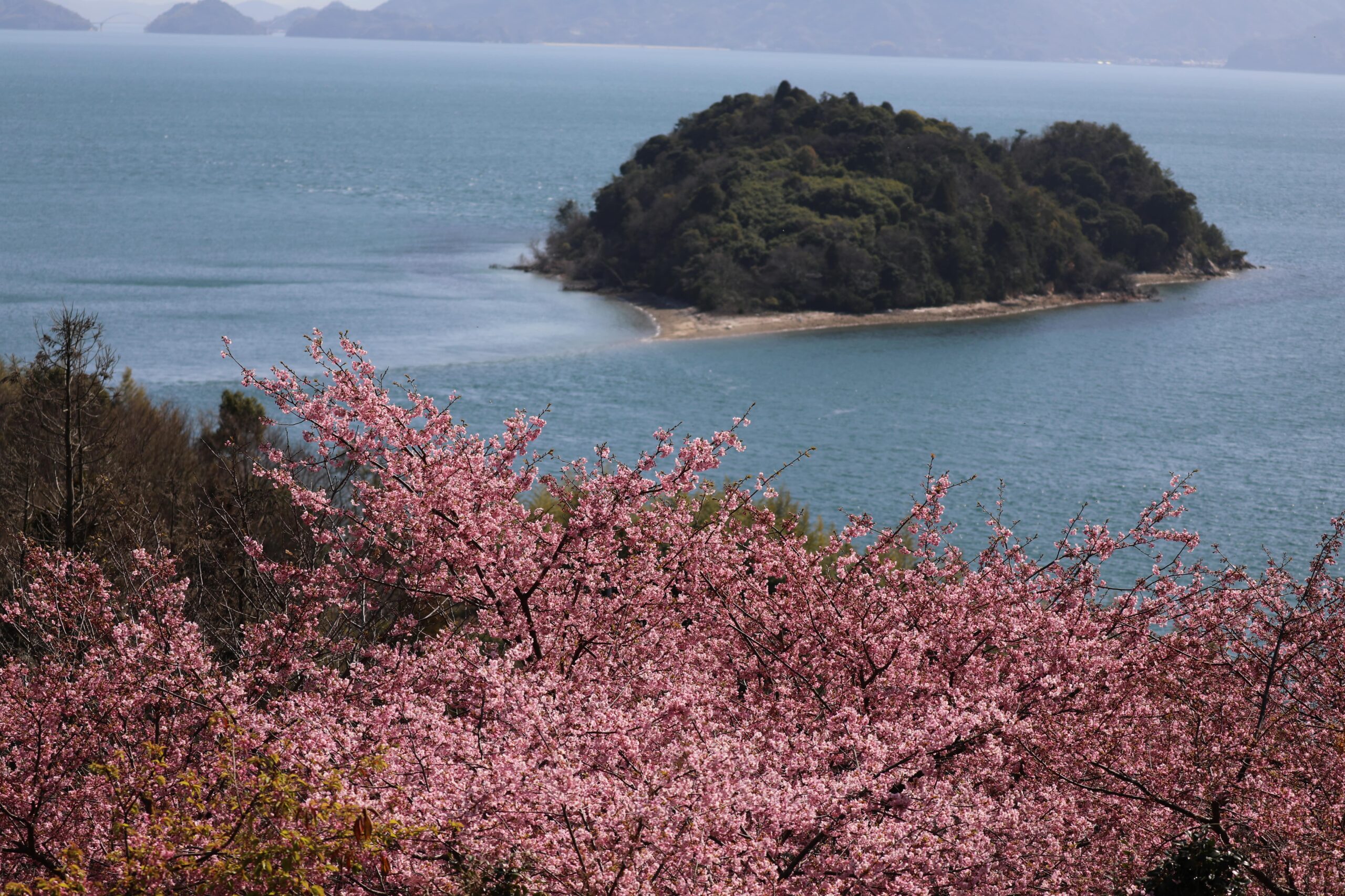 東広島市の画像